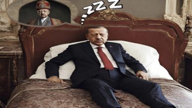 وزير الخارجية الإسرائيلي يثير الجدل بنشر صورة مسيئة لأردوغان